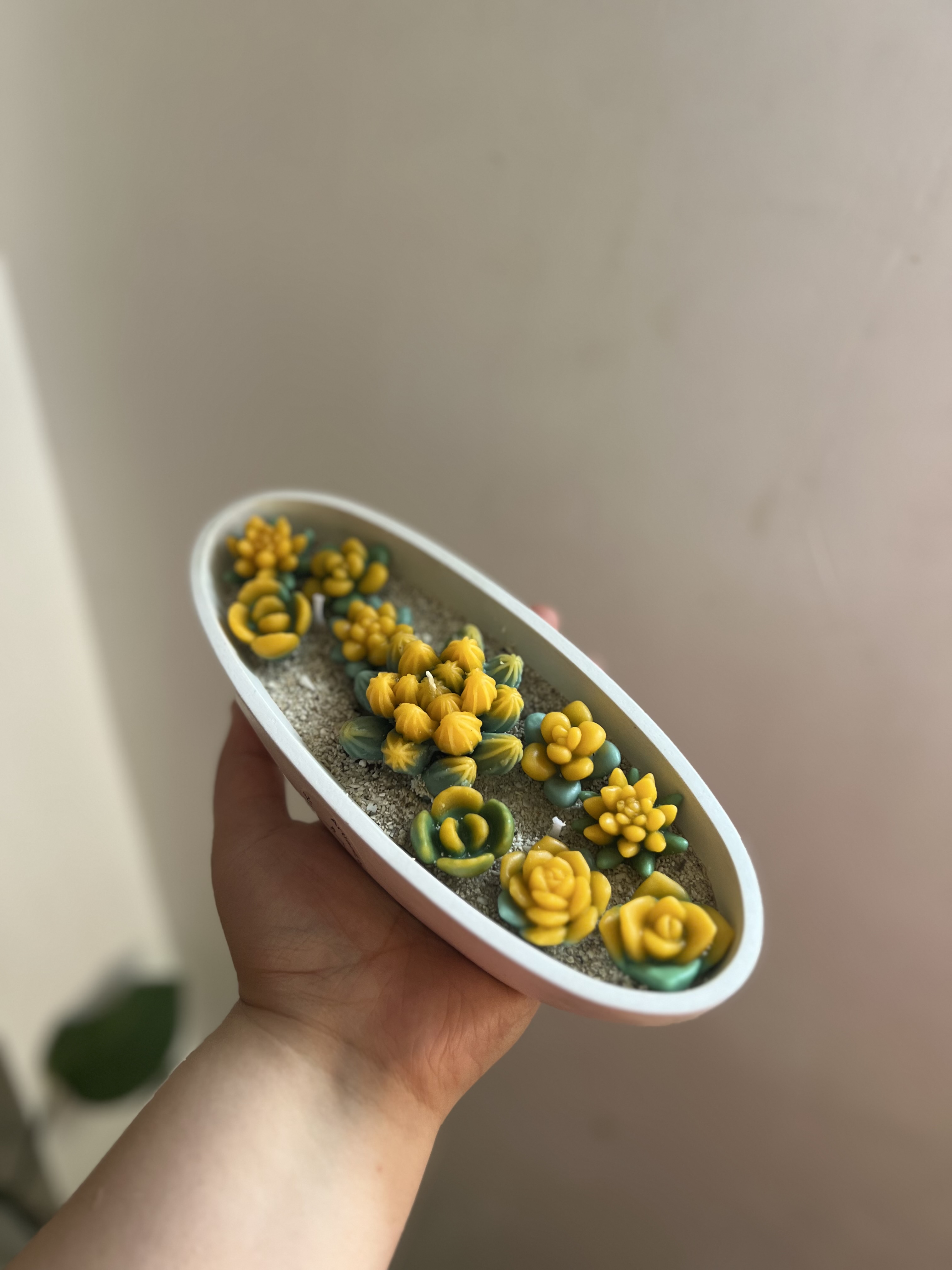 شمع باغچه کاکتوس